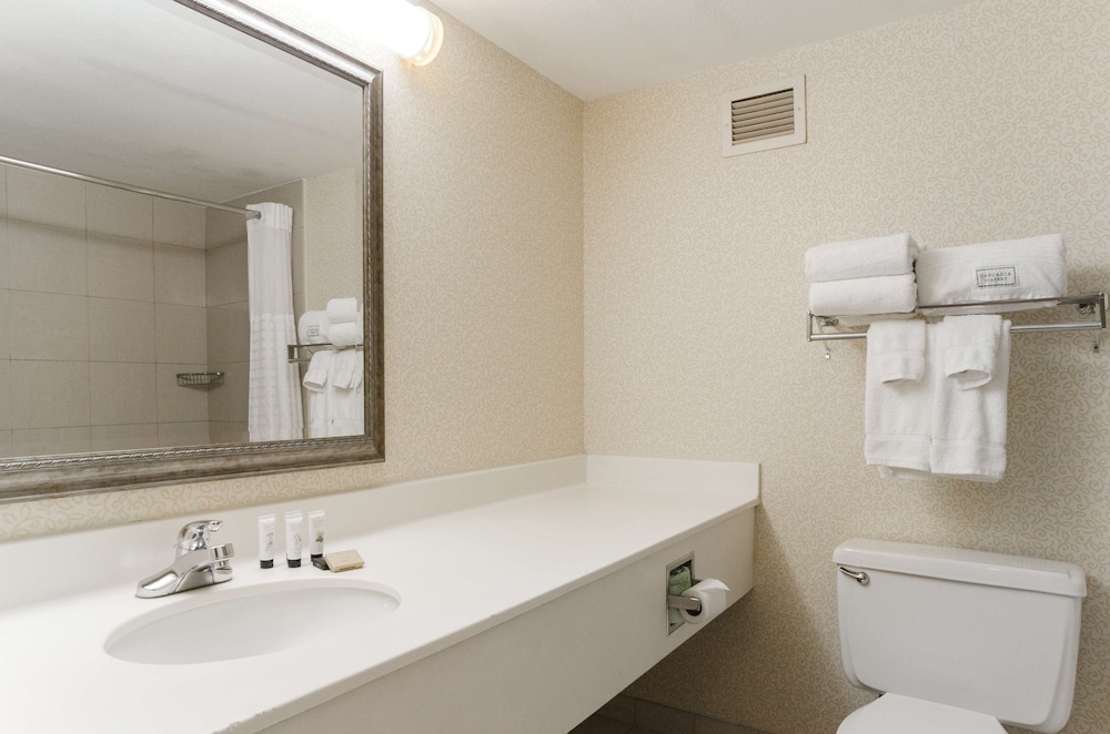 Room, 1 King Bed, Accessible (Roll In Shower)