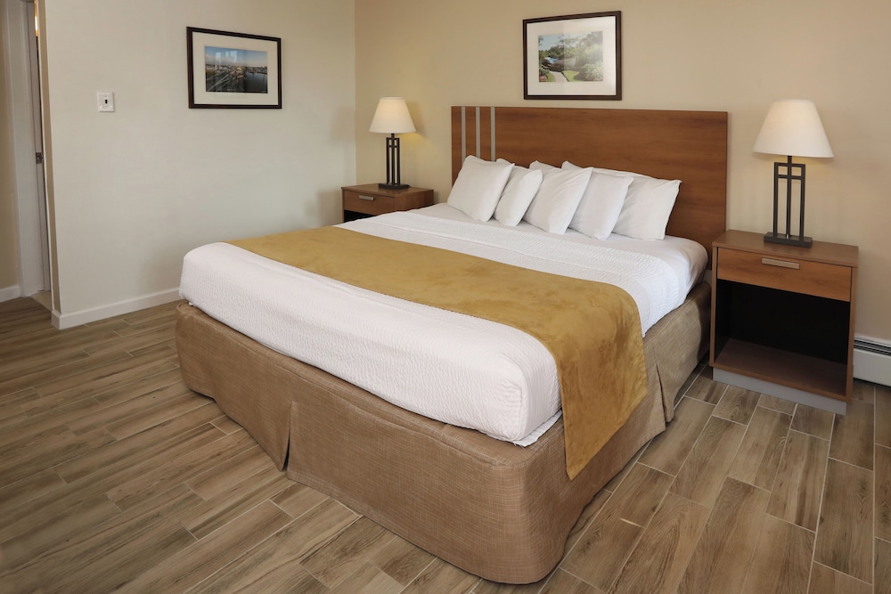 Classic Room (Motel Room With King Bed Pool View) photo 1