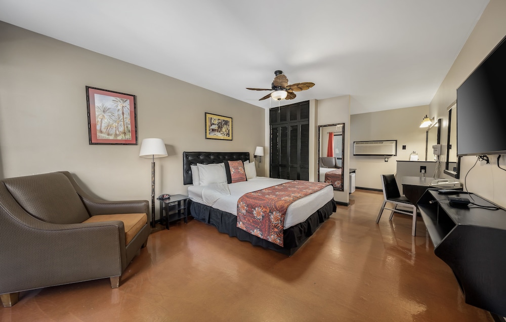 Basic Twin Room - Photo 2