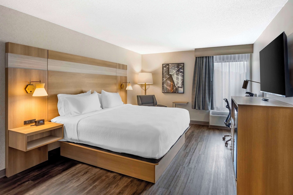 Standard Room, 1 King Bed, Non Smoking, Jetted Tub - Photo 1