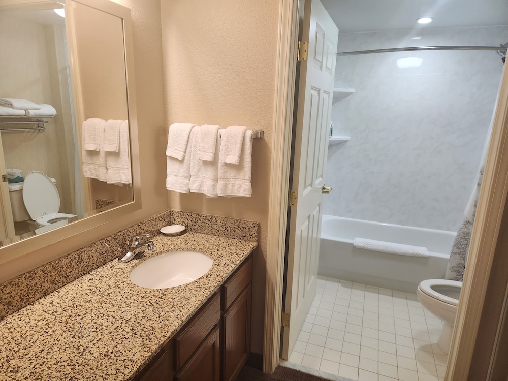 Suite, 1 Bedroom - Photo 7