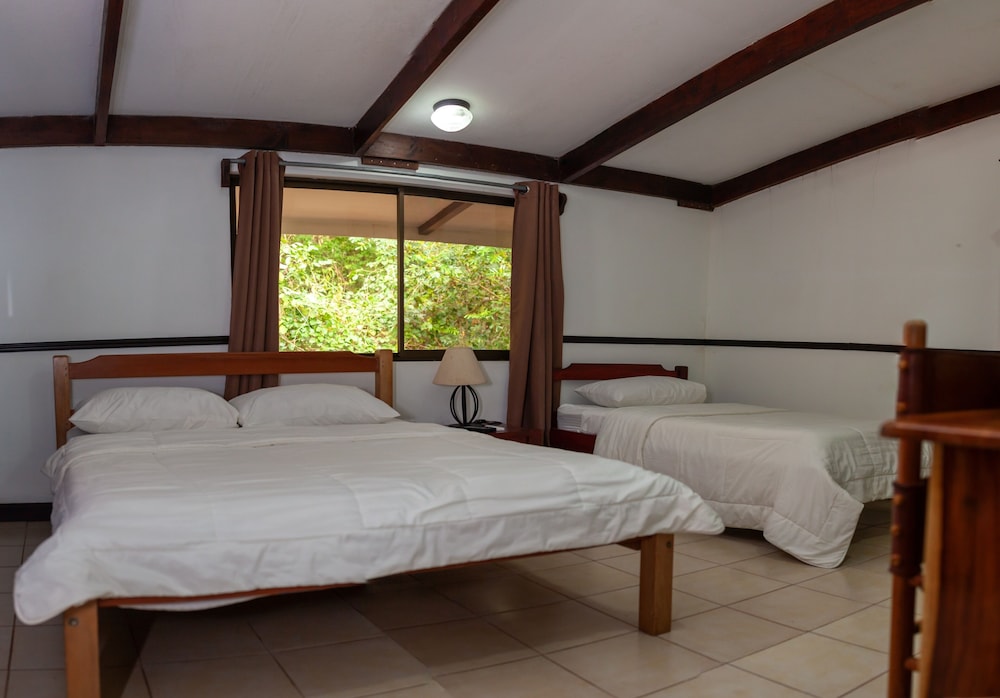 Habitación estándar económica. photo 2