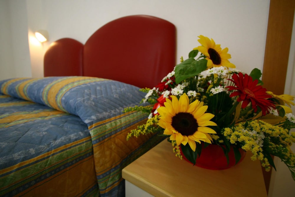 Single Room, 1 Twin Bed