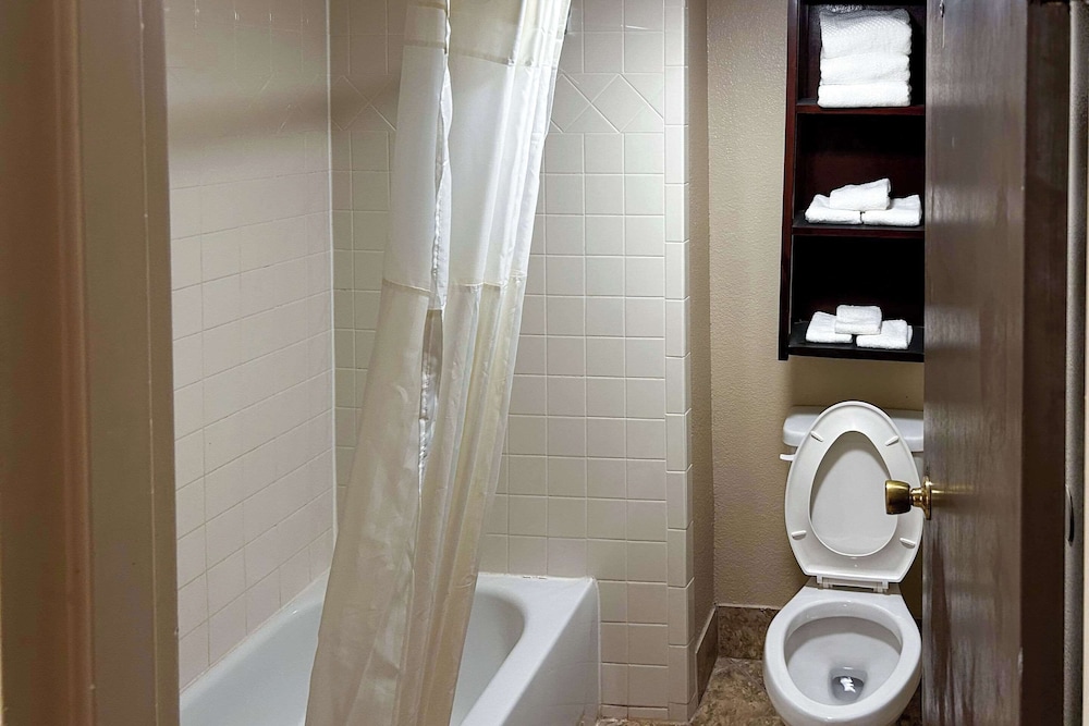 Suite, 1 King Bed, Non Smoking photo 2