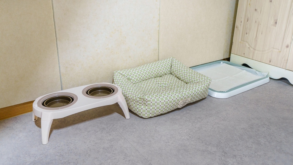 Basic Room, 1 Bedroom (freesia) photo 2