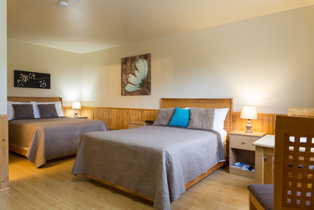 Basic Double Room