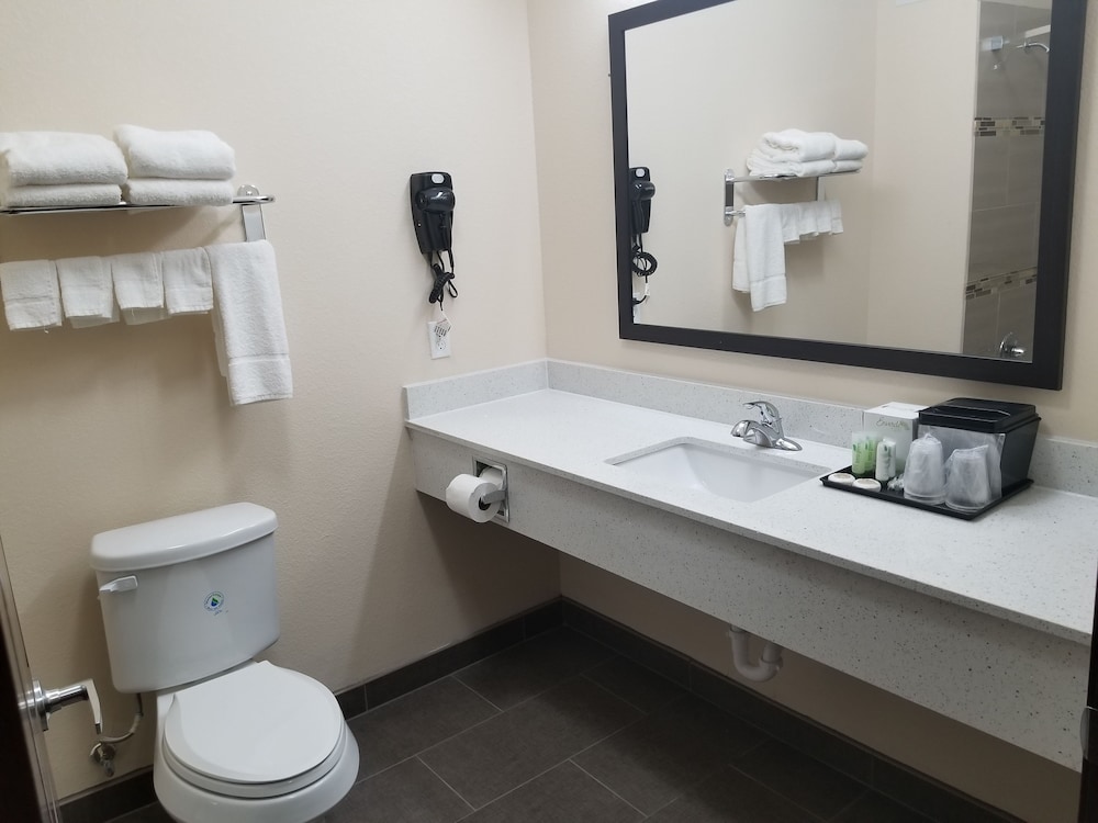Single Room, 1 King Bed, Smoking, Refrigerator & Microwave