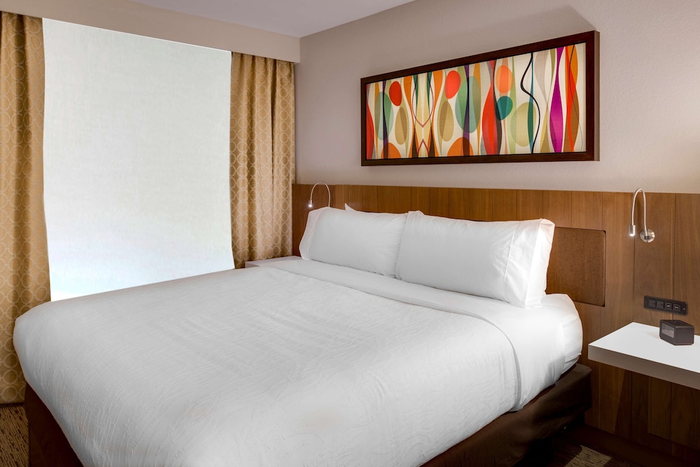 Suite, 1 Bedroom, Accessible (Mobility & Hearing, Roll-In Shower) - Photo 1