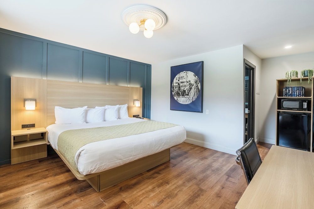 Standard Room, 1 King Bed, Smoking photo 3