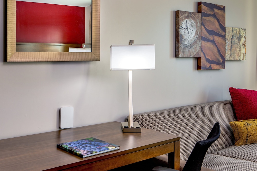 Suite, 1 King Bed, Accessible, Kitchen (Communications) - Photo 13