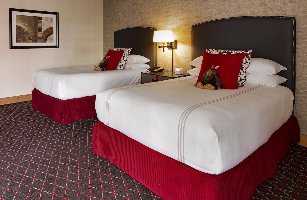 City View Suite Doubles - Photo 3