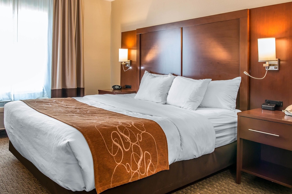 Suite, 1 King Bed, Non Smoking photo 2