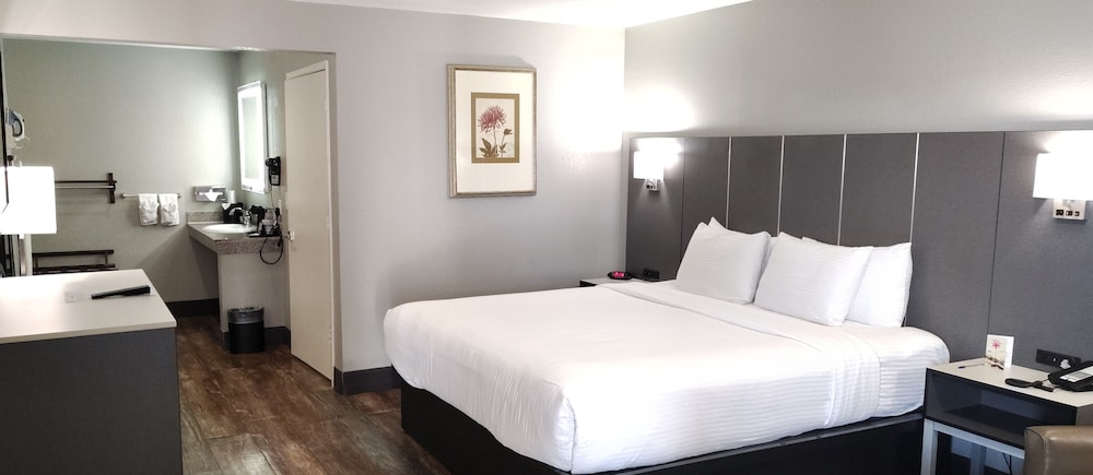 Standard Room, 1 King Bed, Accessible, Non Smoking photo 1