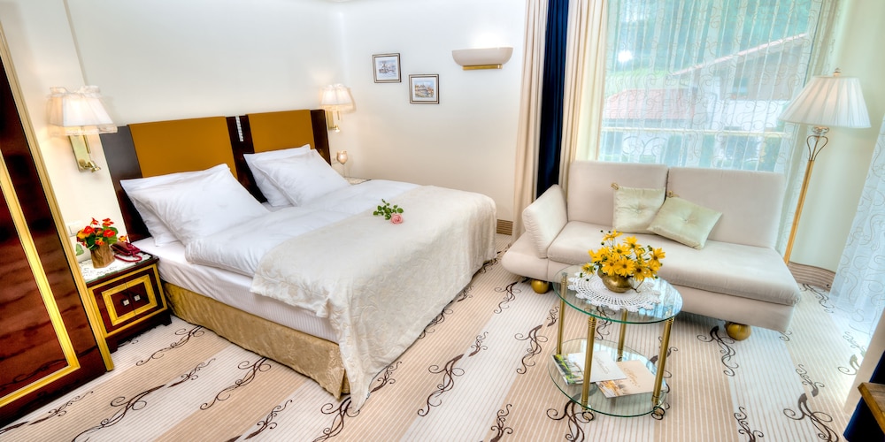 Superior Double Room Single Use, Balcony, Mountain View photo 1
