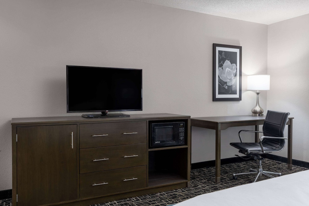 Room, 1 King Bed, Accessible, Non Smoking (Mobility Accessible) - Photo 4