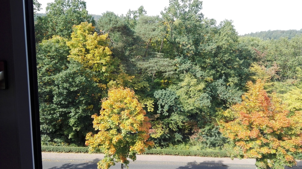 Apartment (Kurparkblick) photo 2