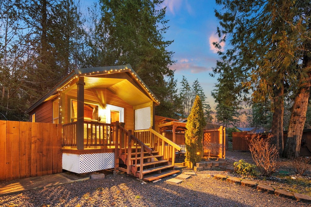 Cabin 13