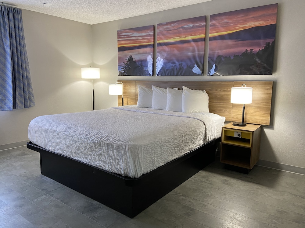 Room, 1 King Bed, Non Smoking - Photo 4