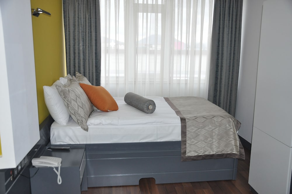 Business Room, 1 Double Bed, Accessible, Smoking photo 1