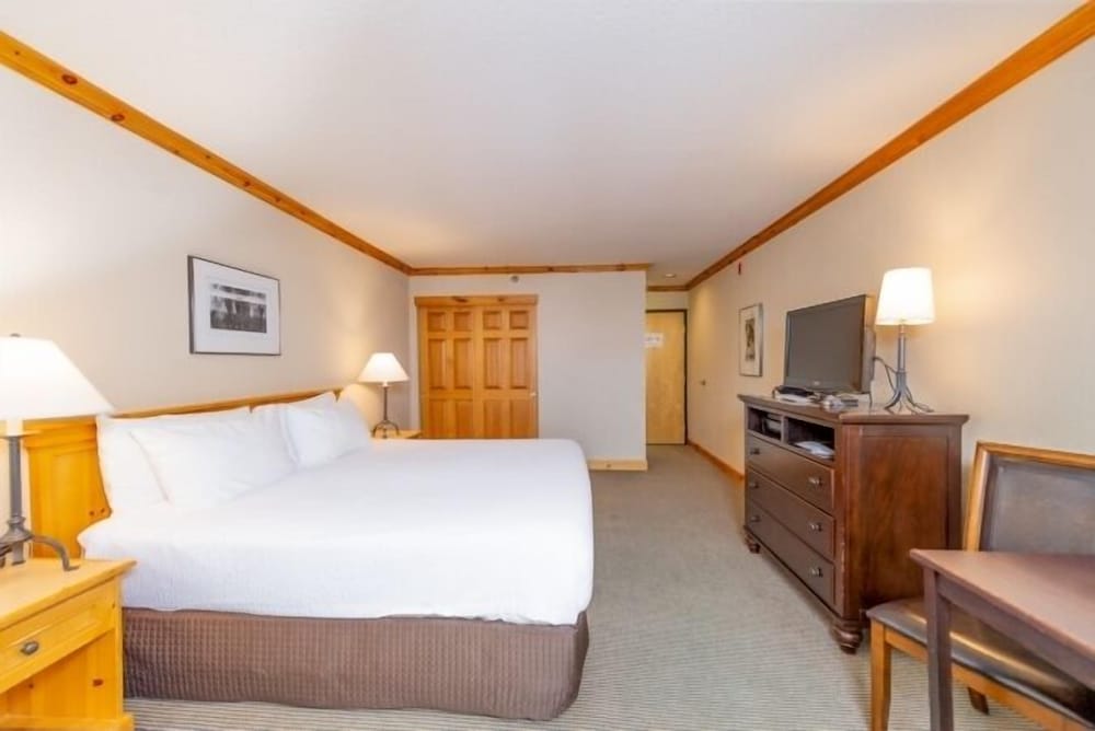 Economy Room, 1 King Bed (Selkirk)