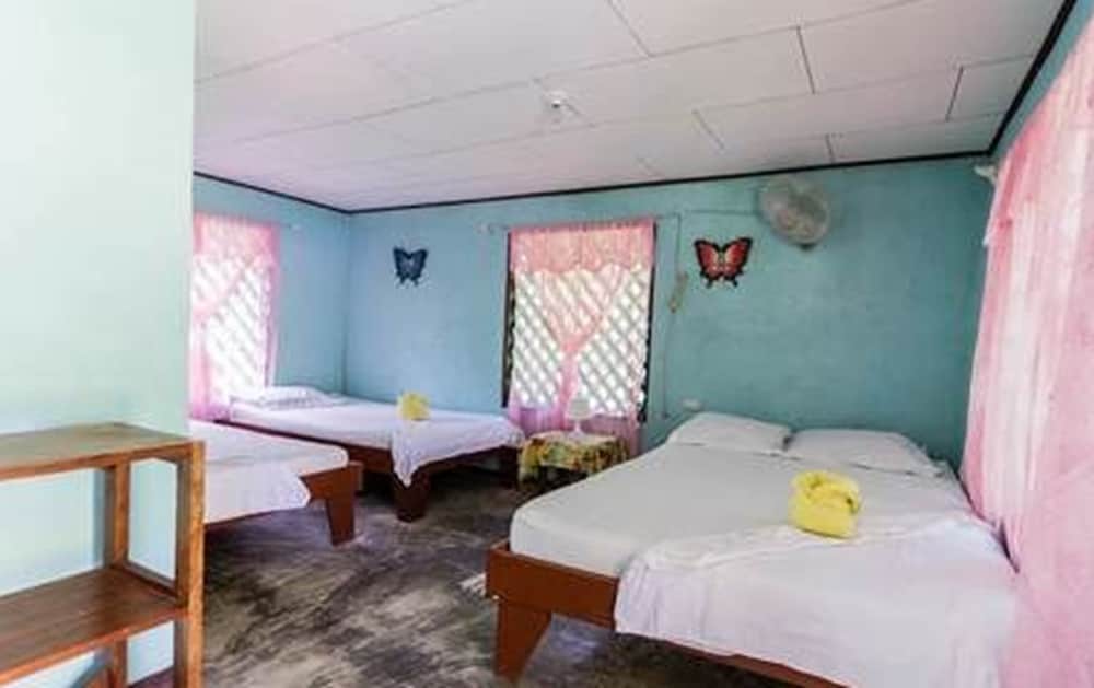 Quadruple Room, Multiple Beds, Non Smoking photo 3