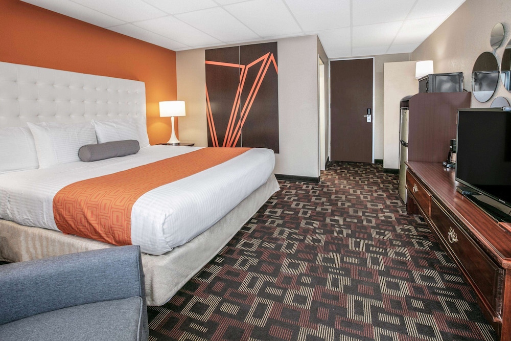 Standard Room, 1 King Bed, Non Smoking photo 1