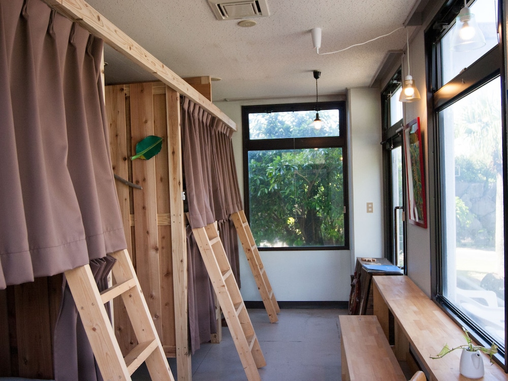 Shared Dormitory, Mixed Dorm photo 1