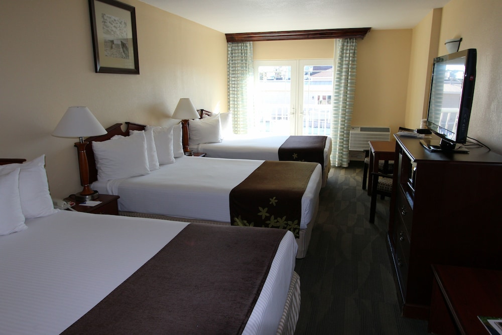 Triple Room, Refrigerator & Microwave photo 2