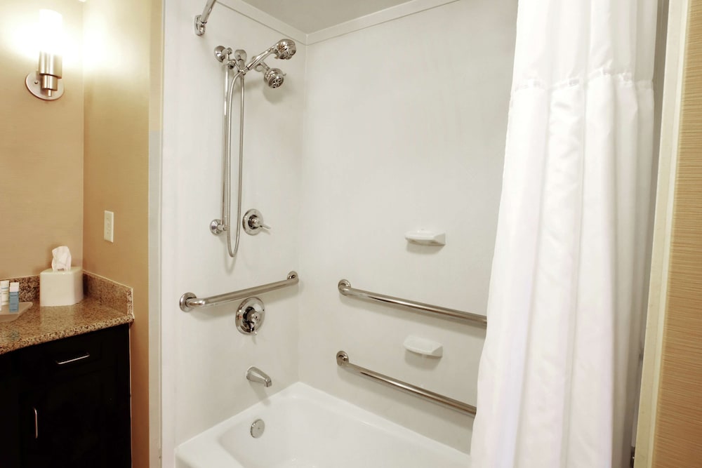 Suite, 1 King Bed, Accessible, Bathtub (Mobility & Hearing) - Photo 3