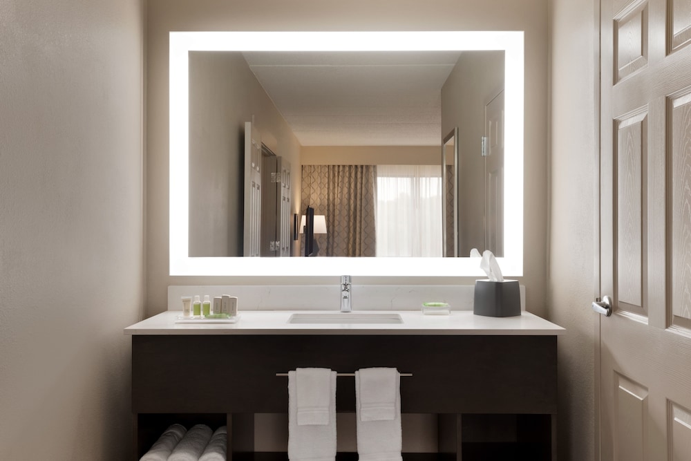 Suite, 1 King Bed - Photo 11