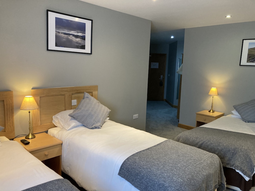 Family Room, 1 King Bed with Sofa bed photo 1