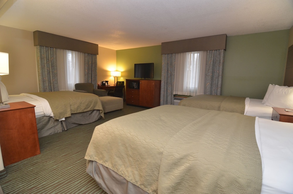 Room, Multiple Beds, Non Smoking photo 3