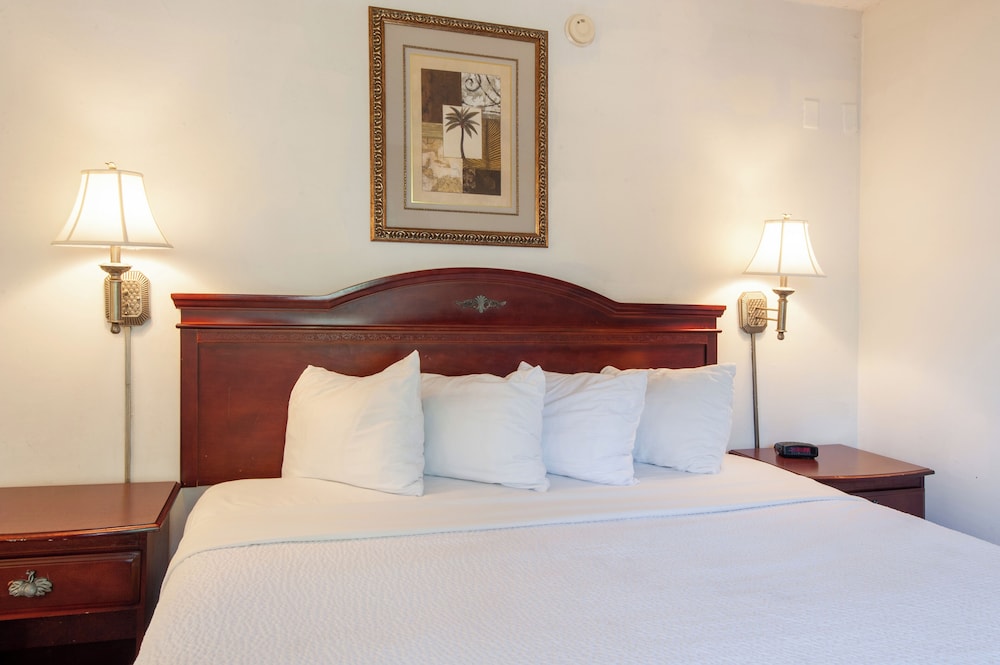 Deluxe Suite, 1 King Bed, Kitchen photo 3