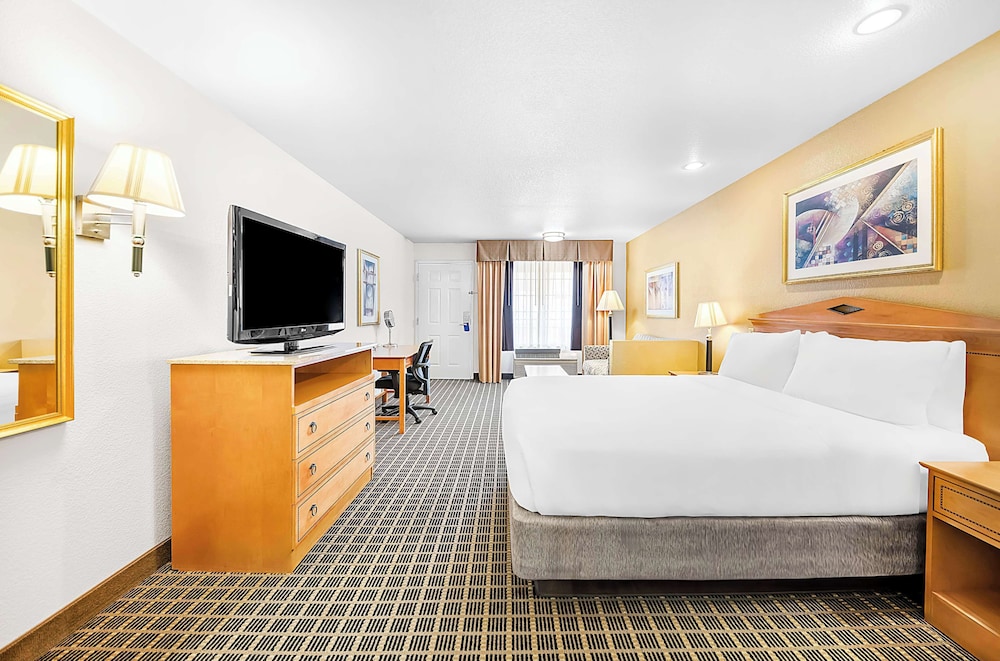 Standard Room, 1 King Bed, Non Smoking, Refrigerator & Microwave (with Sofabed) - Photo 1