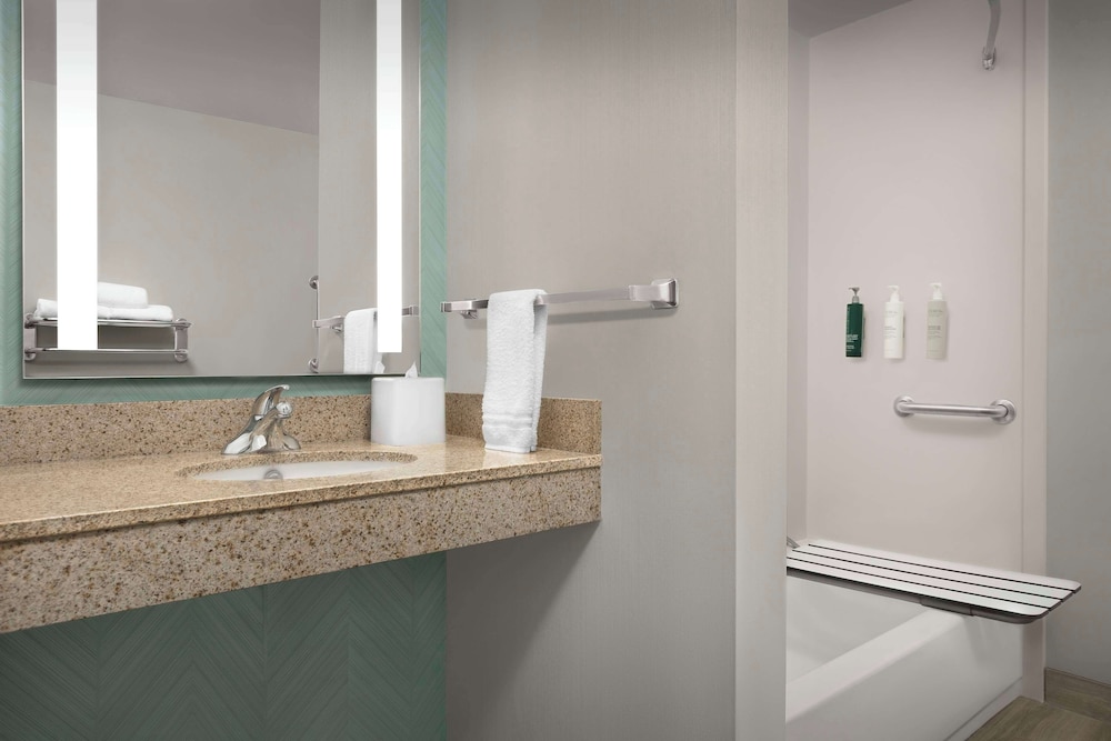 Room, 1 King Bed, Mobility/Hearing Accessible, Bathtub - Photo 4