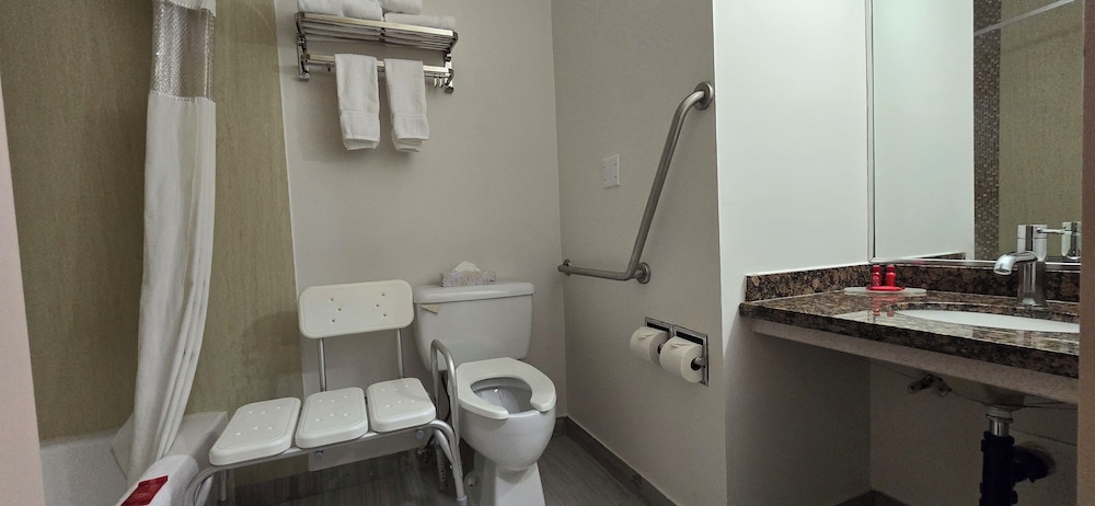 Standard Room, 1 Queen Bed, Accessible, Refrigerator - Photo 2