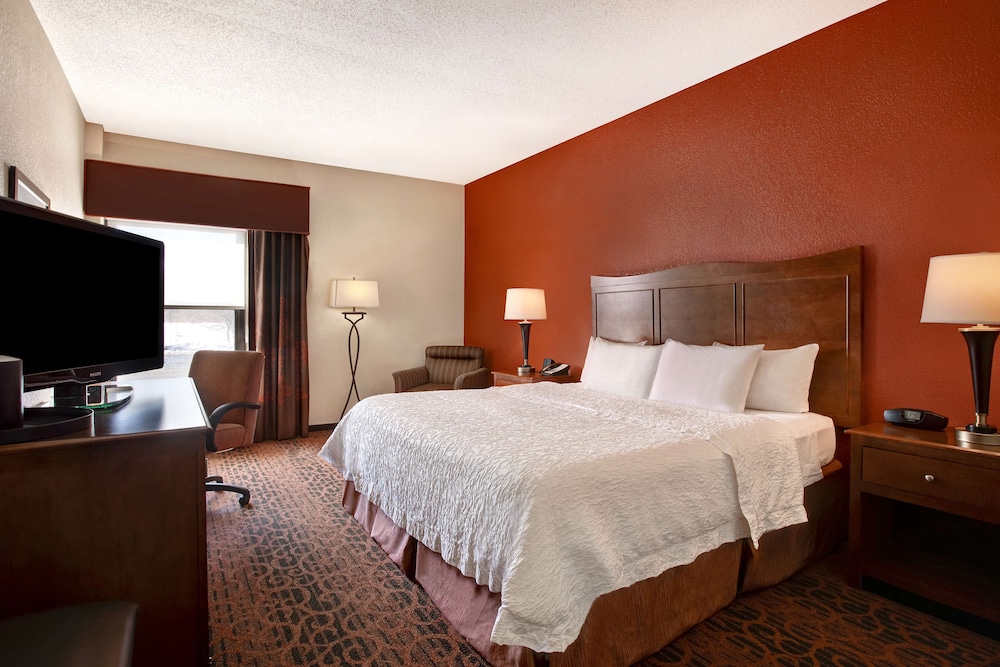 Room, 1 King Bed, Accessible, Refrigerator & Microwave (Bathtub) - Photo 3