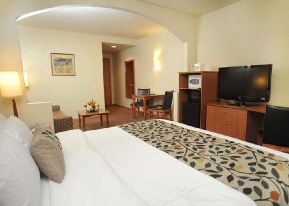 Suite, 1 King Bed with Sofa bed, Non Smoking - Photo 6