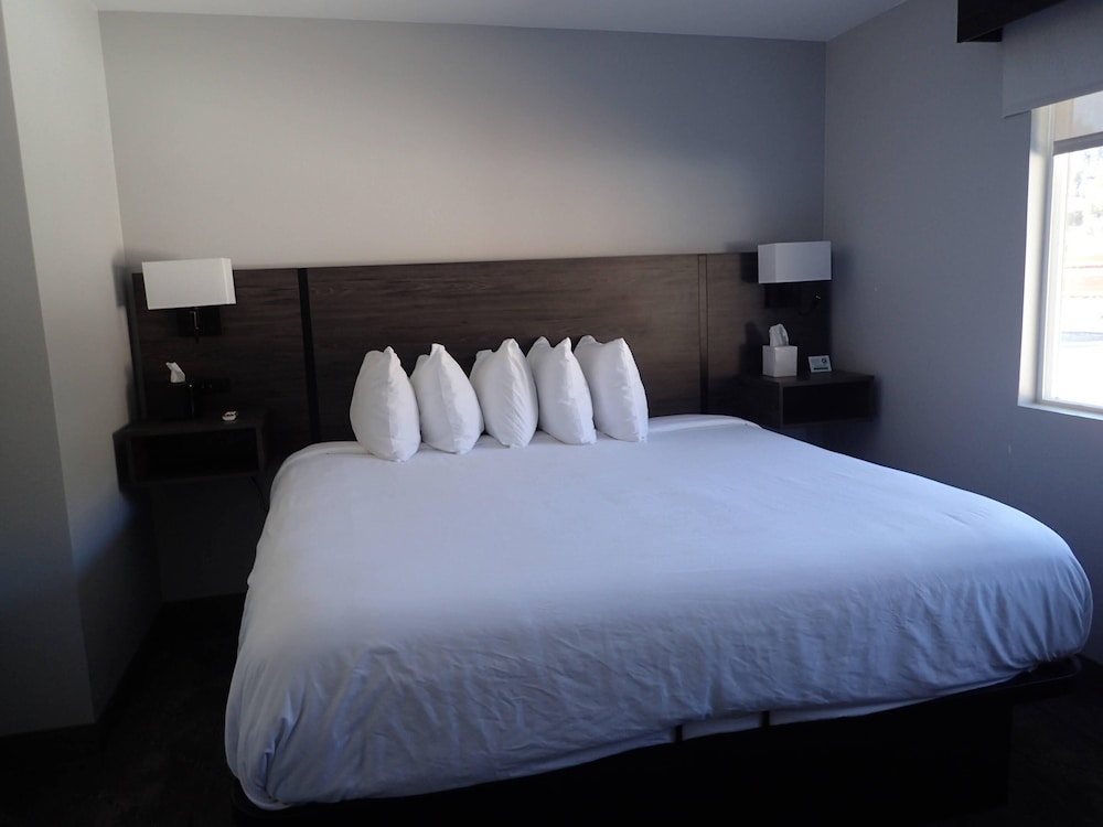 Suite, 1 King Bed with Sofa bed, Non Smoking (Efficiency) - Photo 1