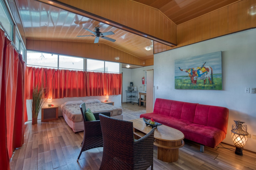 Economy Studio Suite