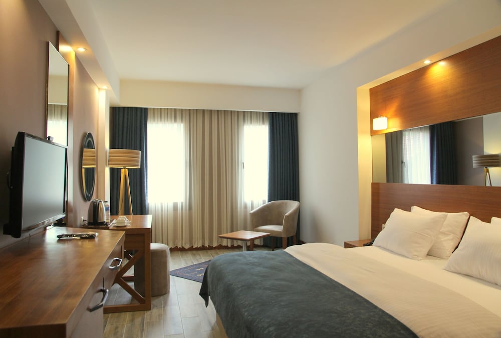 Double or Twin Room, Mountain View photo 1