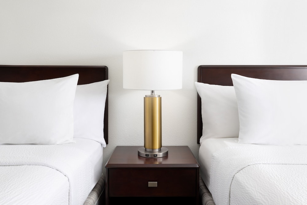 Suite - Photo 7