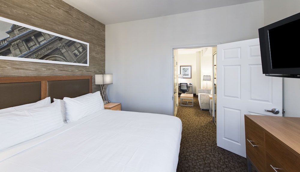 Suite, 1 Queen Bed photo 2