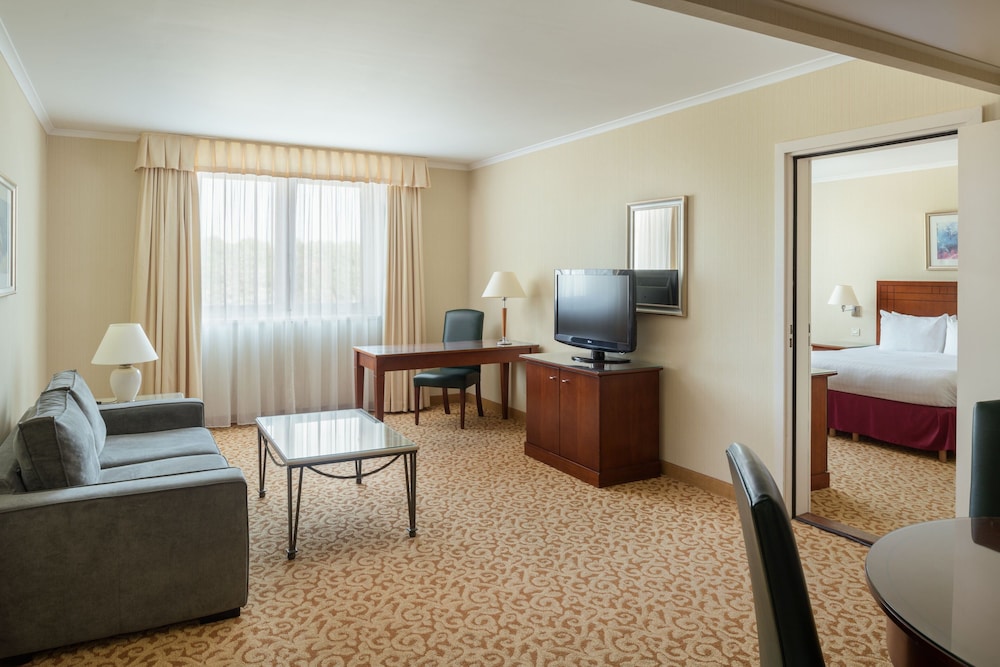Suite, 1 King Bed with Sofa bed