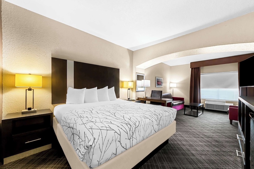 Suite, 1 King Bed, Non Smoking, Refrigerator & Microwave (with Sofabed) - Photo 1