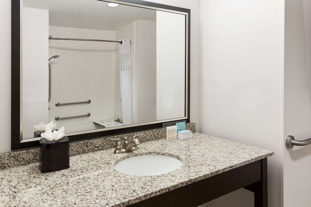 King Room, Accessible, Bathtub photo 3