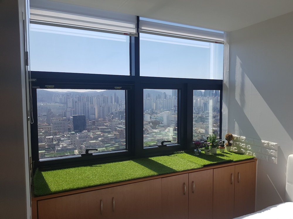 Business Studio (F)