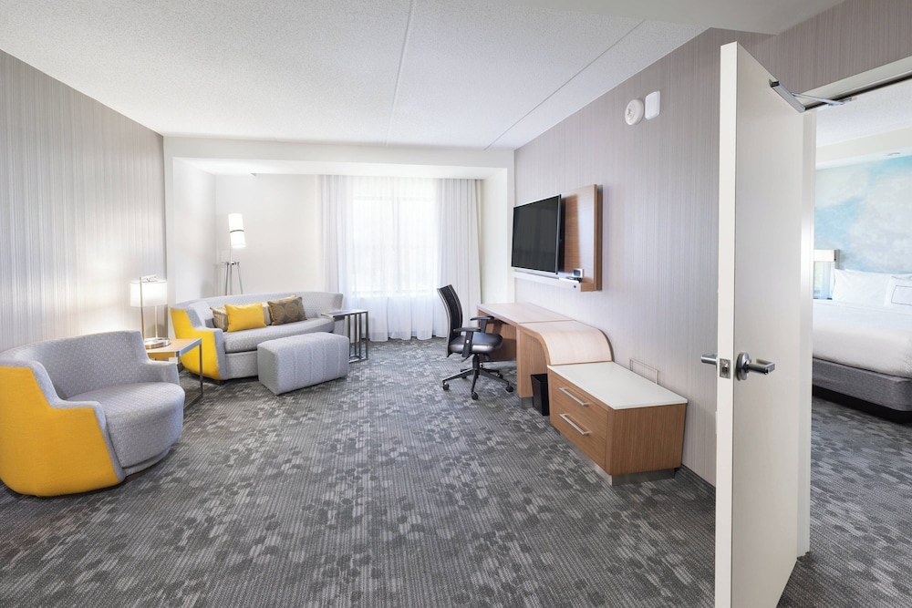 Suite, 1 King Bed with Sofa bed