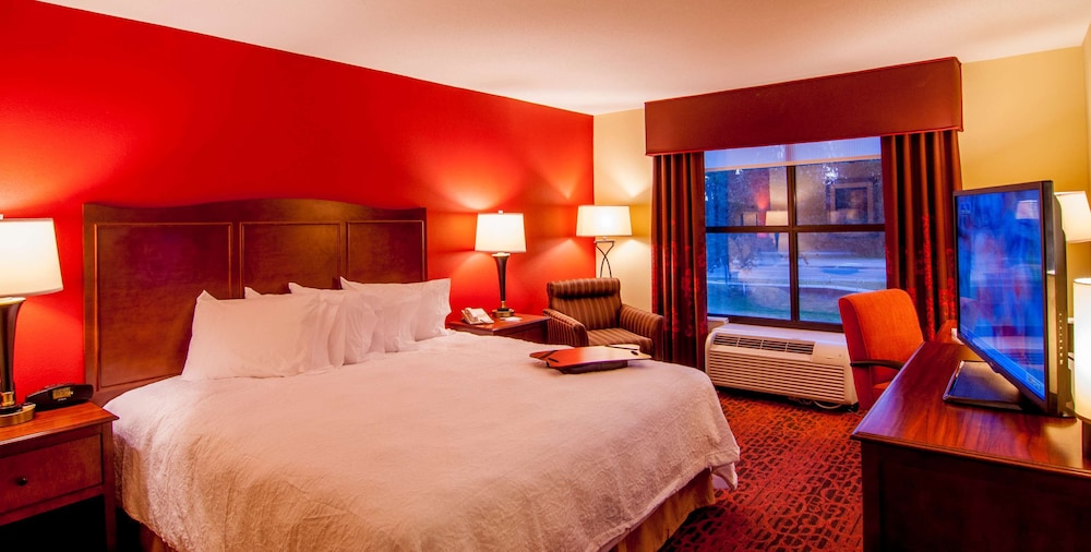 Room, 1 King Bed, Accessible