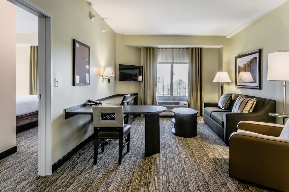 Suite, 1 Bedroom photo 1